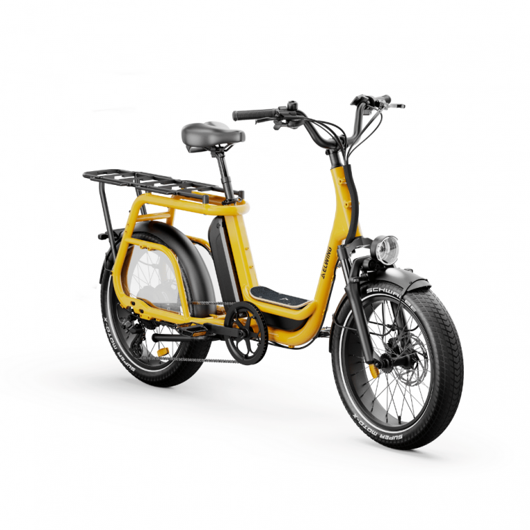 Jumbo vélo électrique cargo longtail Biarritz Bike